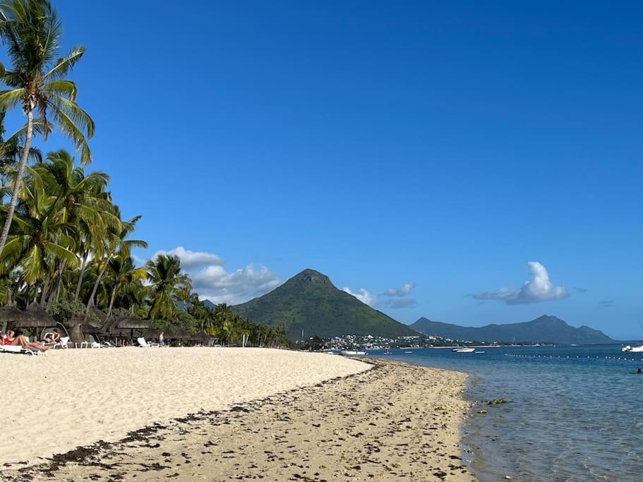 a sandy beach with palm trees and the ocean at Villa Coco - Flic en Flac in Flic-en-Flac