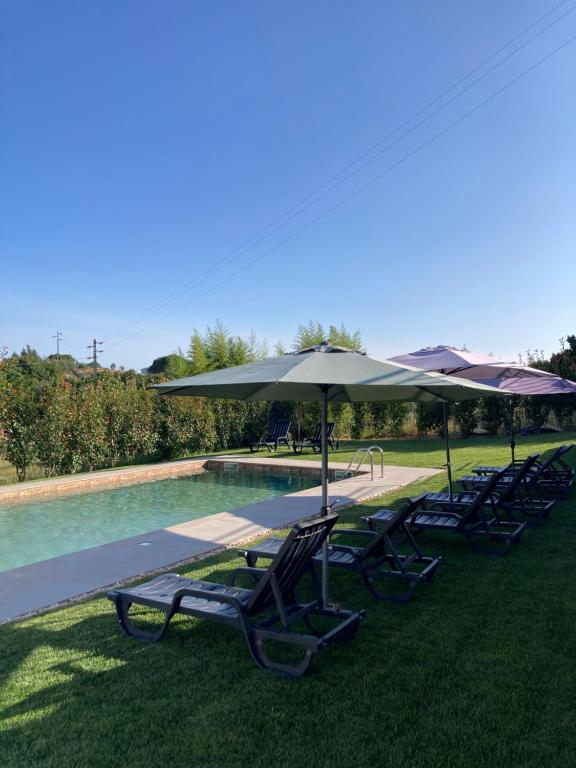 a group of lawn chairs with umbrellas next to a pool at Quintinha Silvestre in Tondela