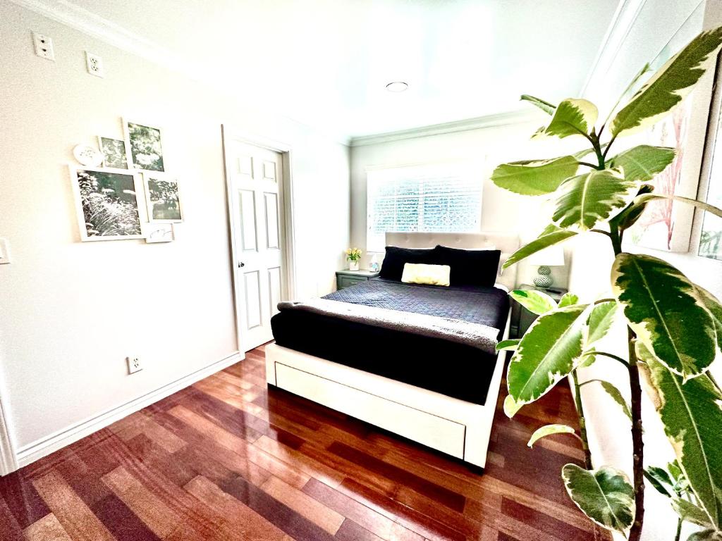 a bedroom with a bed with a plant in it at Central Location Family Size Home in Temple City