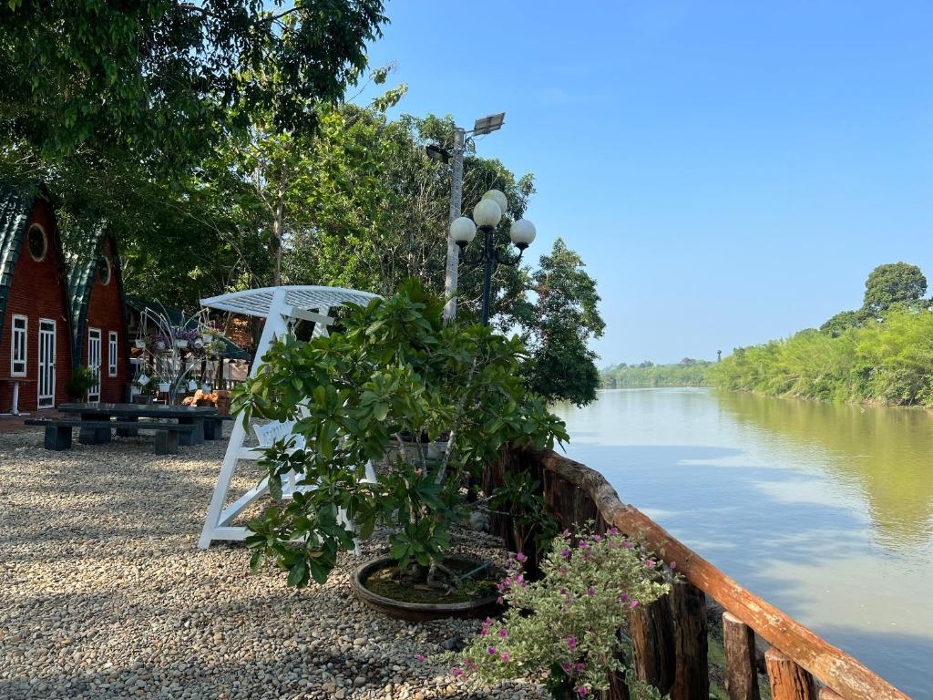 Quelques plantes sur le côté d'une rivière dans l'établissement Cat Tien River Lodge, à Cat Tien