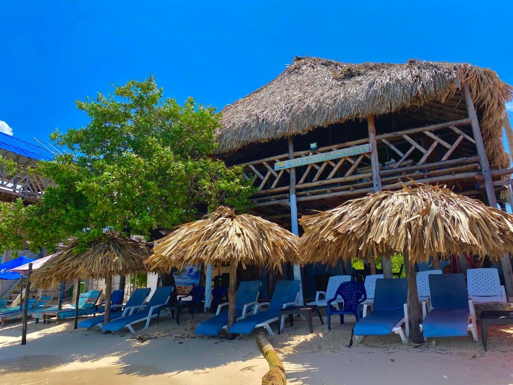 eine Gruppe von Stühlen und Sonnenschirmen am Strand in der Unterkunft Posada Shekinah Barú in Playa Blanca