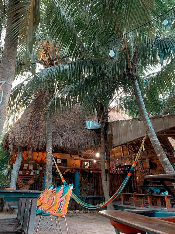 Fotografie z fotogalerie ubytování Kin Hostal and Camping v destinaci Ostrov Holbox