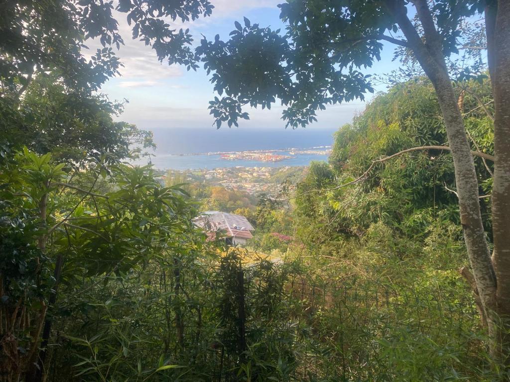 a view of the ocean from a forest of trees at Bungalow Pamatai Sky in Faaa