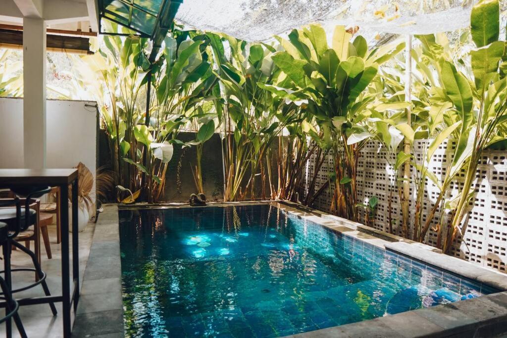 een zwembad in een tuin met planten bij Panayota House in Kuta Lombok