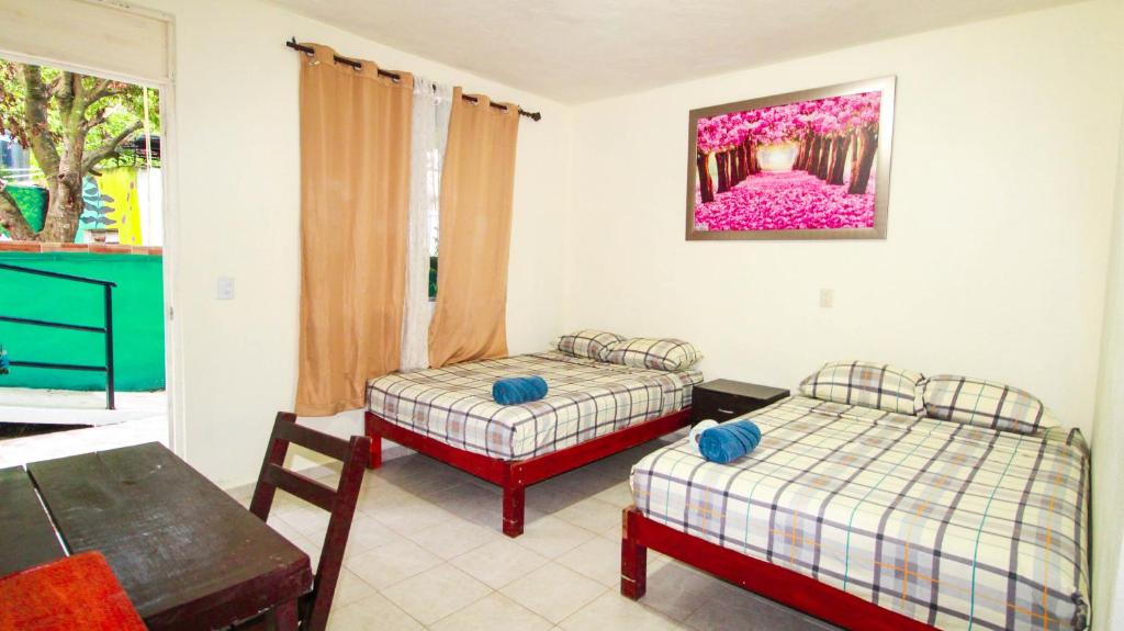 Postel nebo postele na pokoji v ubytování Hotel Vias Maya Bacalar