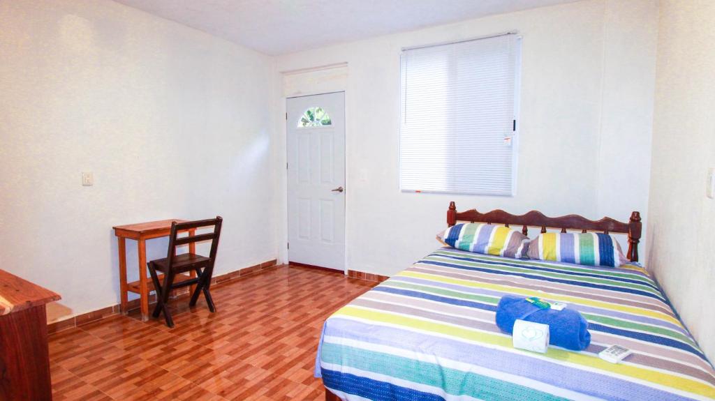 Postel nebo postele na pokoji v ubytování Hotel Vias Maya Bacalar