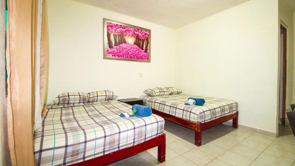 Postel nebo postele na pokoji v ubytování Hotel Vias Maya Bacalar