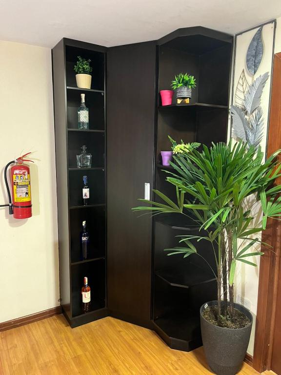 ein schwarzes Bücherregal mit einer Topfpflanze in einem Raum in der Unterkunft Departamento de 2 Habitaciones, full amoblada con todo para que disfrutes de tu Estancia in Cuenca