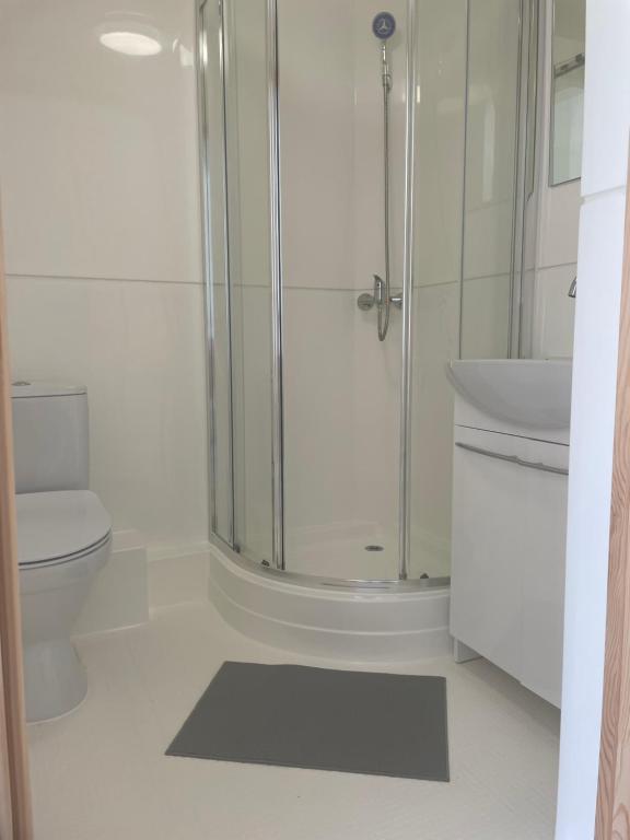 a bathroom with a shower and a sink and a toilet at Pensjonat VICTORIA in Ustka