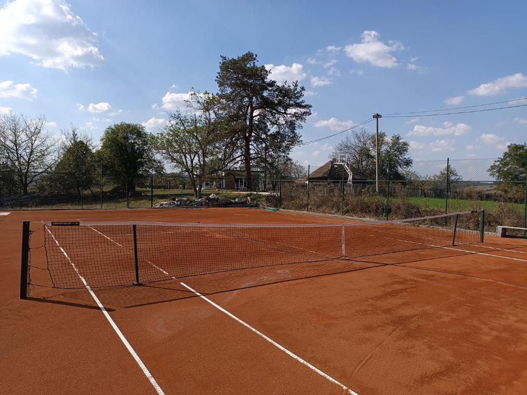 een tennisbaan met een net erop bij Radusha Open 