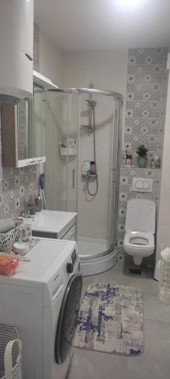 Koupelna v ubytování Apartman 25