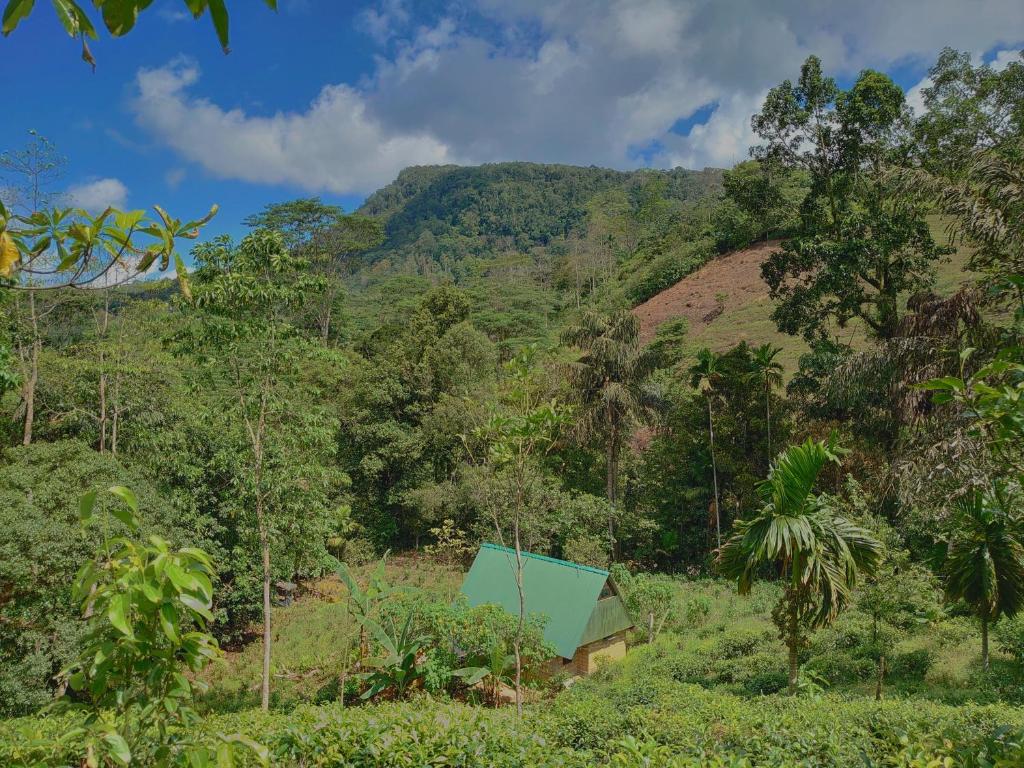 ein Haus im Wald mit einem Berg im Hintergrund in der Unterkunft Rainforest cabin in Deniyaya