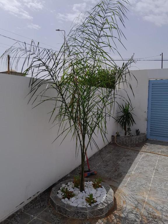 Fotografie z fotogalerie ubytování Studio Rouge Cosy à Dar Lili Djerba v destinaci Mezraya