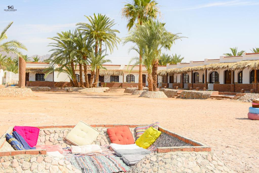 a couch sitting on the ground in front of a building at Palm Valley camp in Nuweiba‘ el Muzeinah