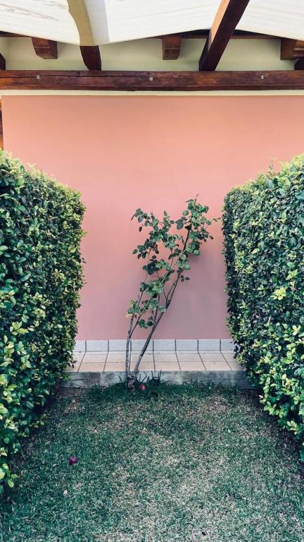 B&B Casale Pietrantica Tropea - 花园景公寓