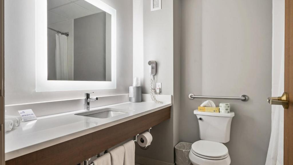 Holiday Inn Express & Suites Bad Axe by IHG - Camera King Standard - Accessibile Ai Disabili