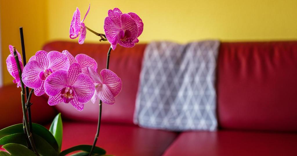 ABA-Sporting Apartment House - Resim 23