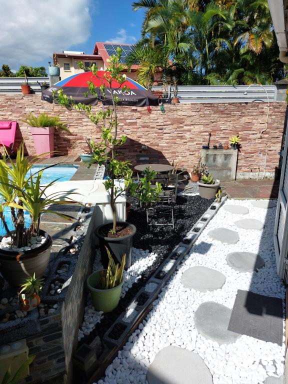 un giardino con piante in vaso e un muro di mattoni di Tranquillité a Saint-Joseph