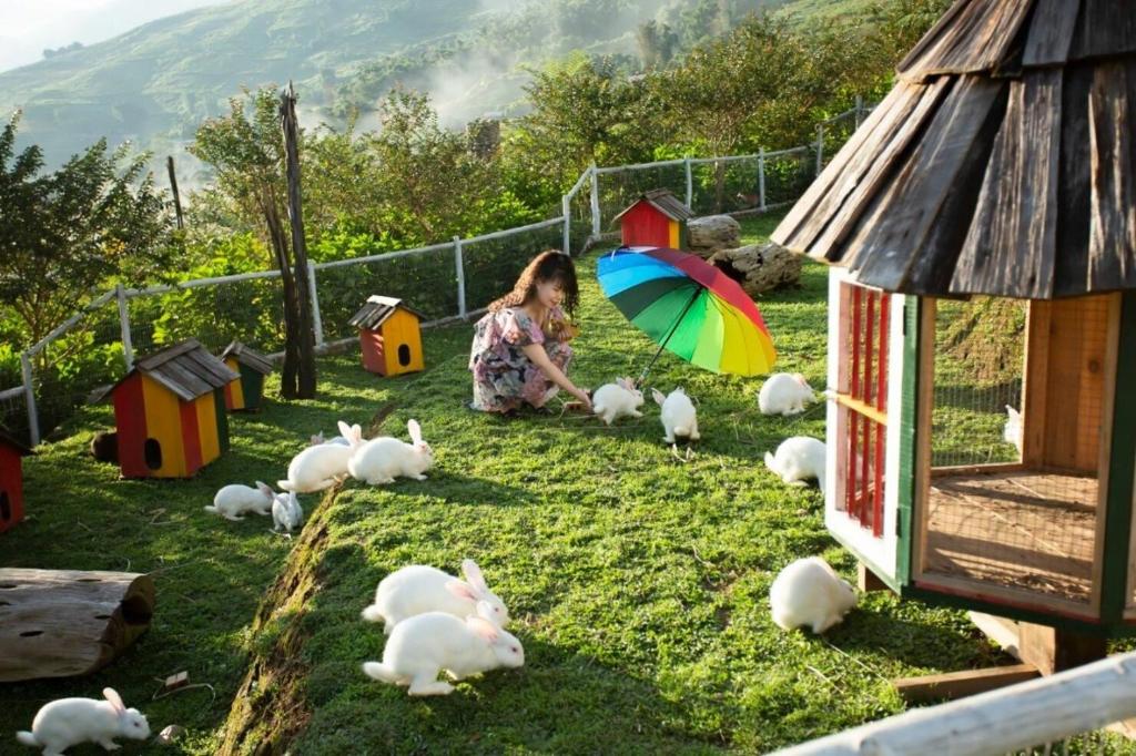 Zahrada ubytování O Châu Homestay Lào Cai