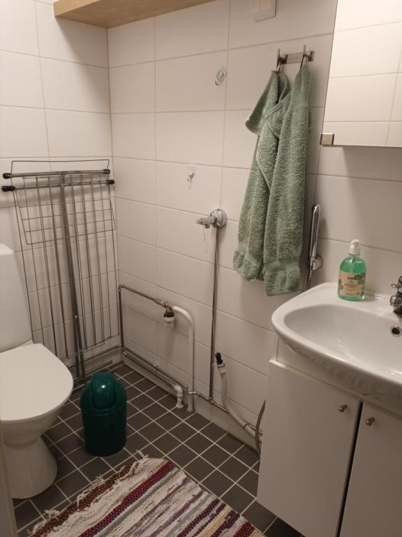 a bathroom with a toilet and a sink at Saunallinen yksiö, 4 vuodepaikka in Eura