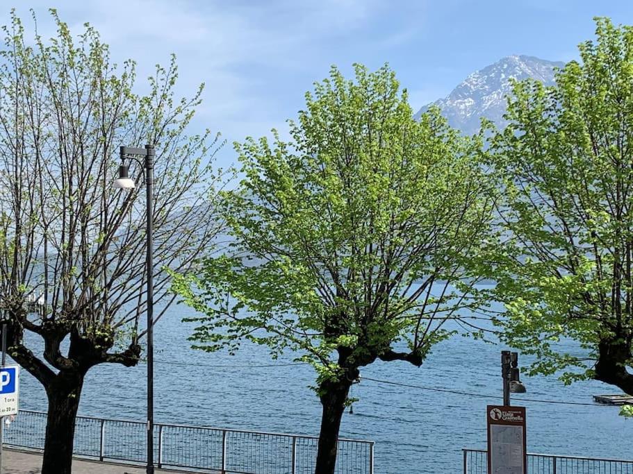 two trees next to a body of water with a street light at Casa Rino: Vacanze in casetta...... in Dongo