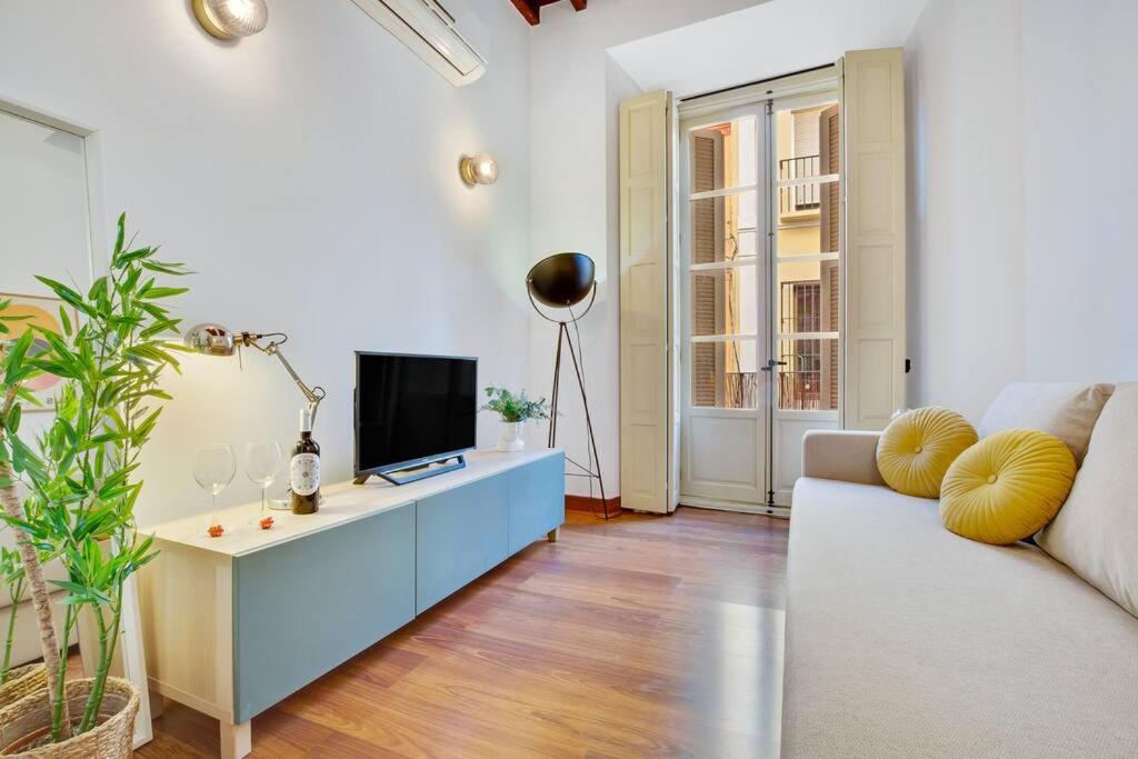 - un salon avec un canapé et une télévision dans l'établissement Ayma Apartamento Ollerías, à Malaga
