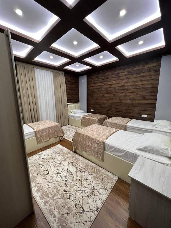 Dumba bilan velosiped haydash (video)