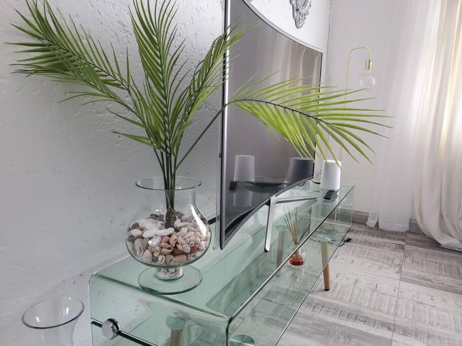 a glass table with a vase with a plant on it at Lovely apartment Back-up power in Sandton