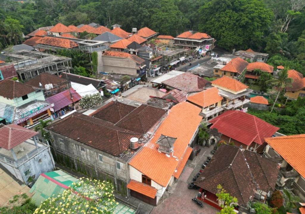 Okolí penzionu