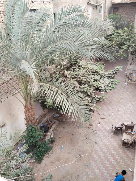 Fotografie z fotogalerie ubytování Pyramids view v destinaci Giza