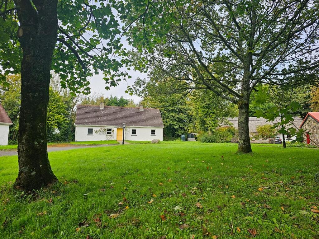 um quintal com duas árvores e uma casa branca em Longford Holiday Yellow Star Self-Catering Cottage 