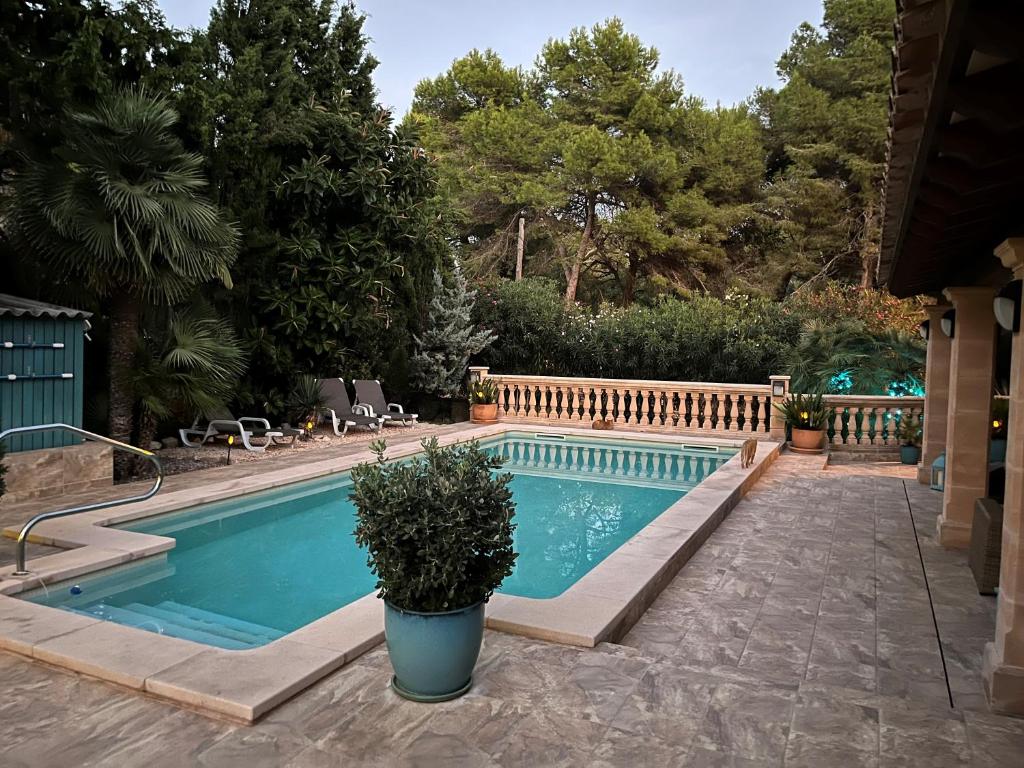 a swimming pool with a potted plant next to a house at Casa Lisboa in Cala Mesquida