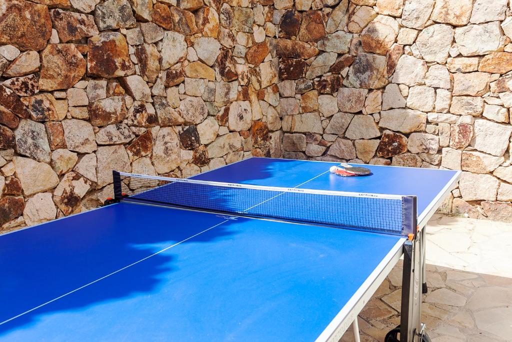 Stolní tenis v ubytování Casa KARIAN nebo okolí