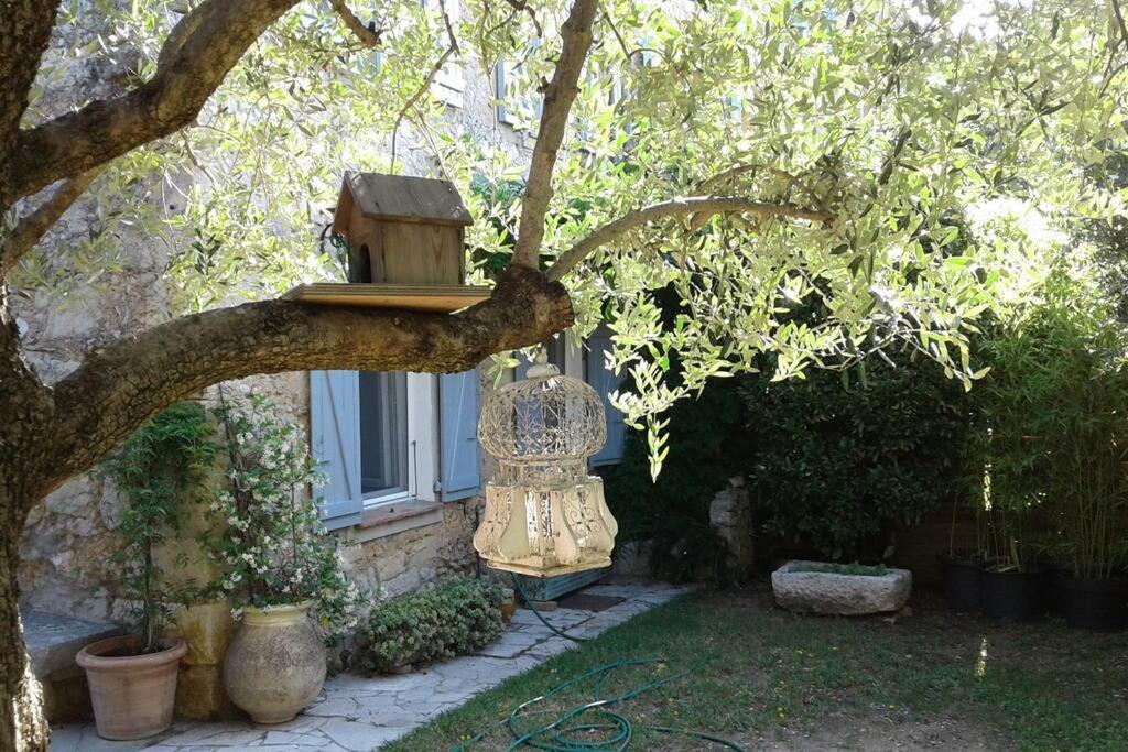 a bird house sitting on the branch of a tree at 06AW - Mas en pierre provençal rénové au calme in Le Rouret