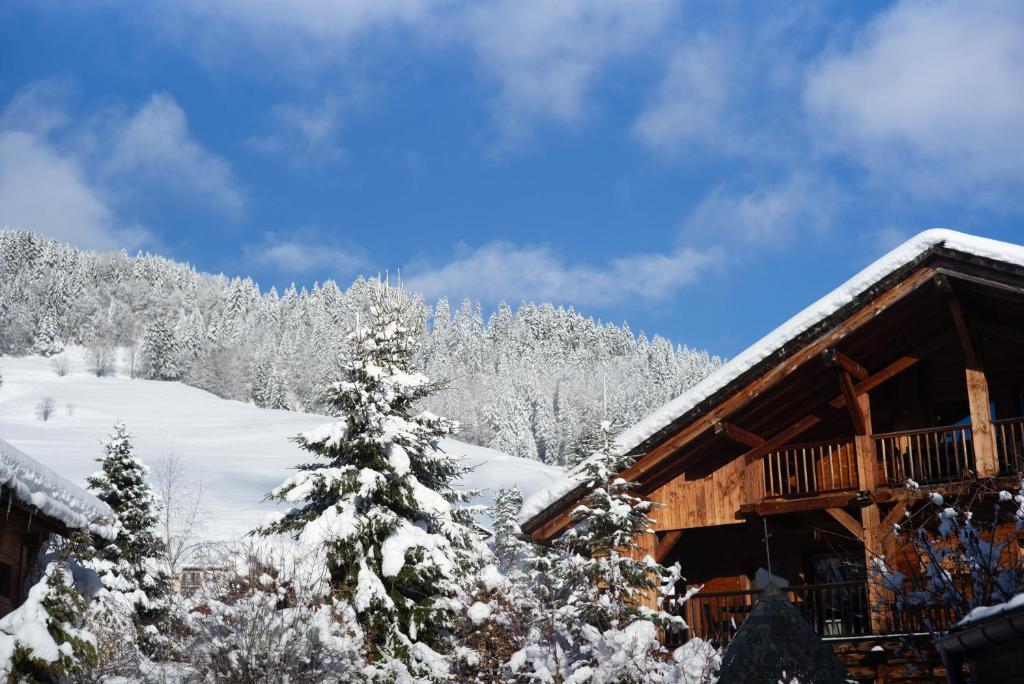 a cabin in the snow with a snow covered tree at Chalets de l'Alpaga in Megève
