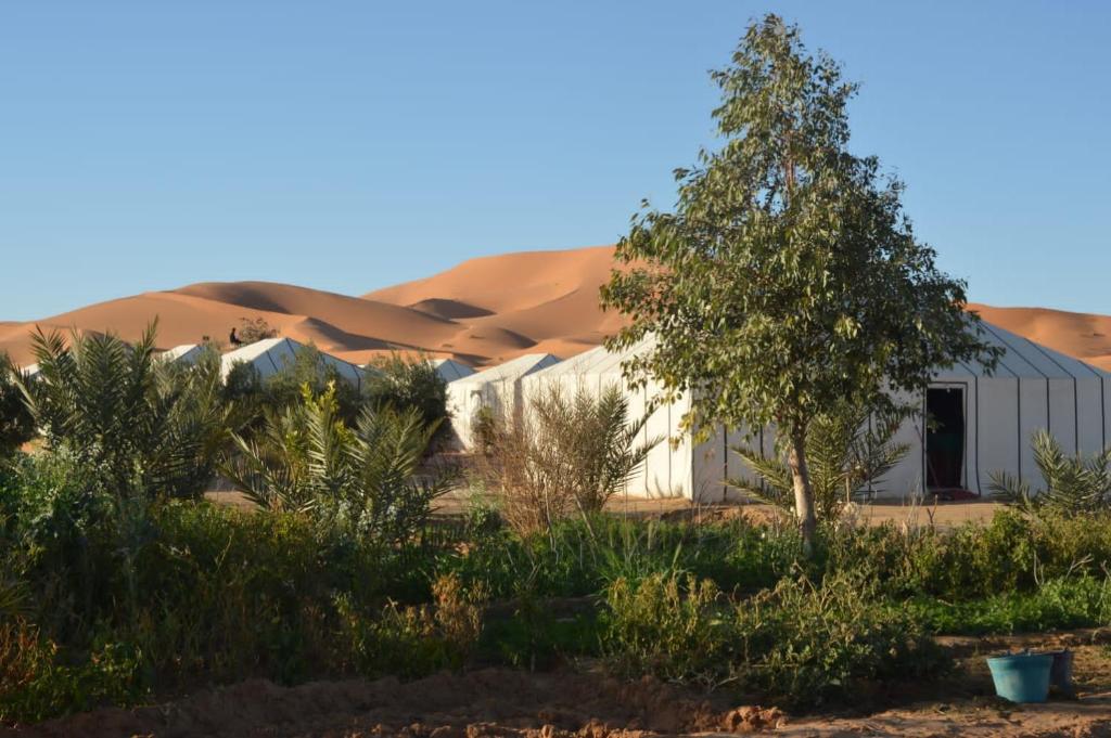 Ein weißes Gebäude mitten in der Wüste. in der Unterkunft BIVOUAC SINAS in Rissani