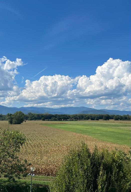 Příroda nedaleko apartmánu