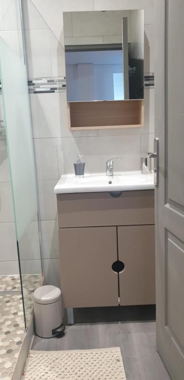 Koupelna v ubytování Au Panorama F3 2 chbres