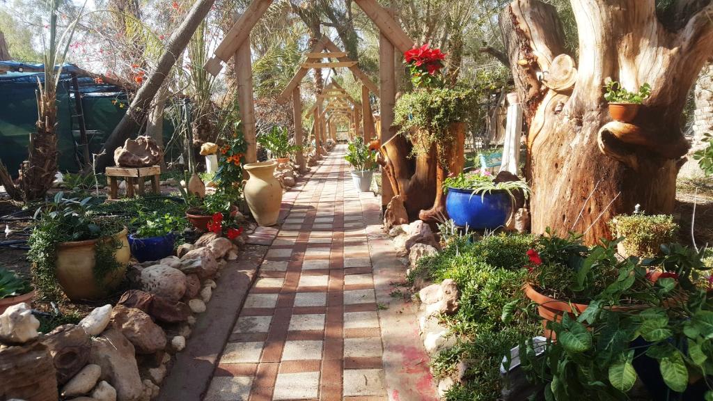 ערבה גארדן Arava Garden - Housity