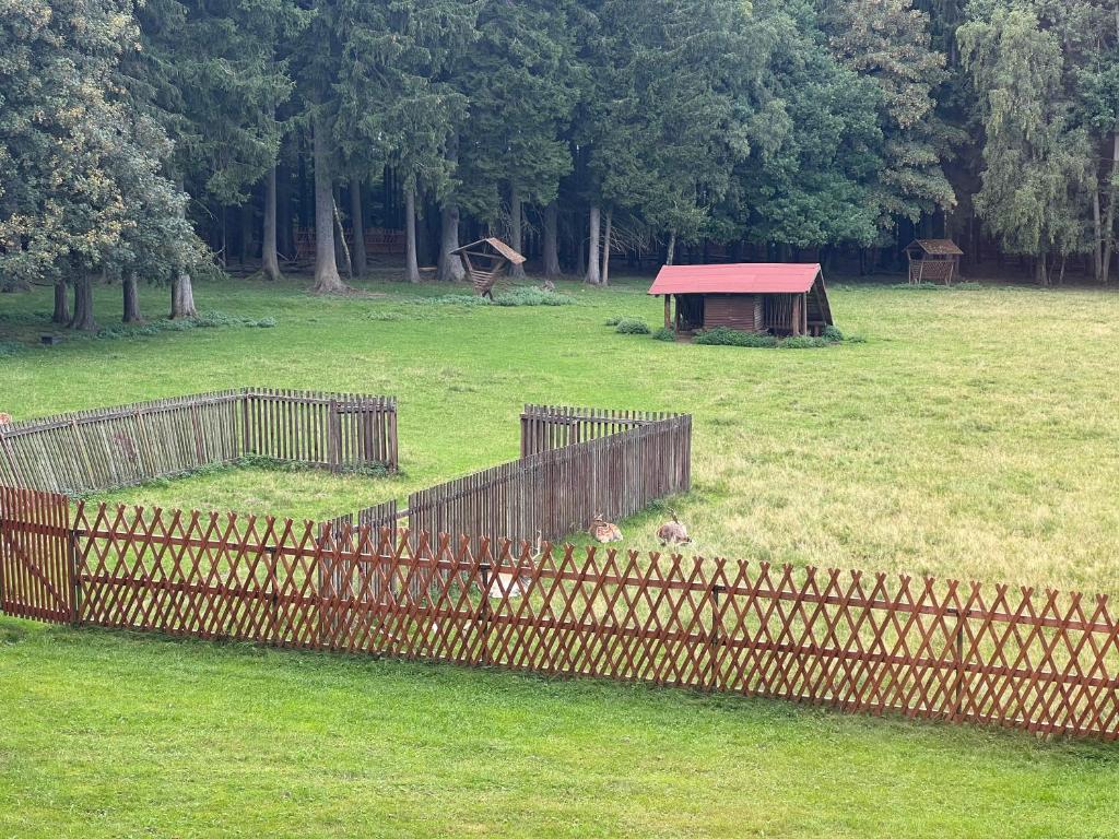 Zahrada ubytování Villa Berolina