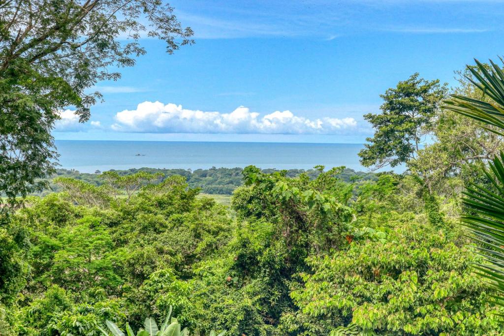 a view of the ocean from the forest at Terrazas de Ballena in Uvita