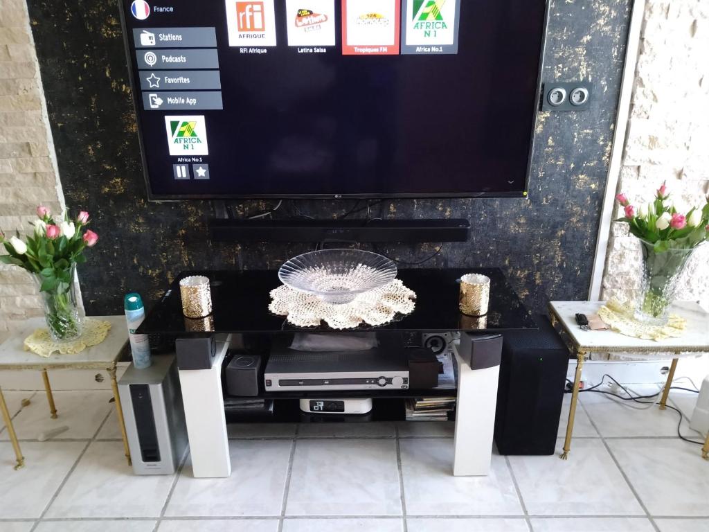 TV a/nebo společenská místnost v ubytování Mon nid d'or JOIGNY FRANCE