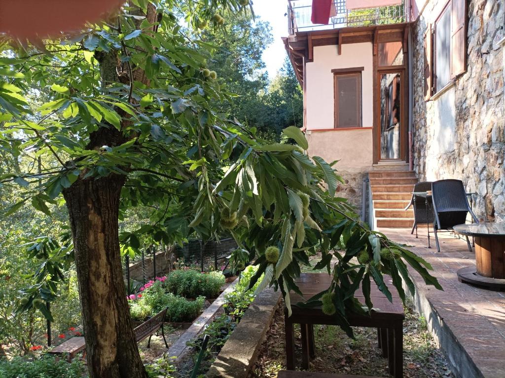 Zahrada ubytování Casa dei Faggi