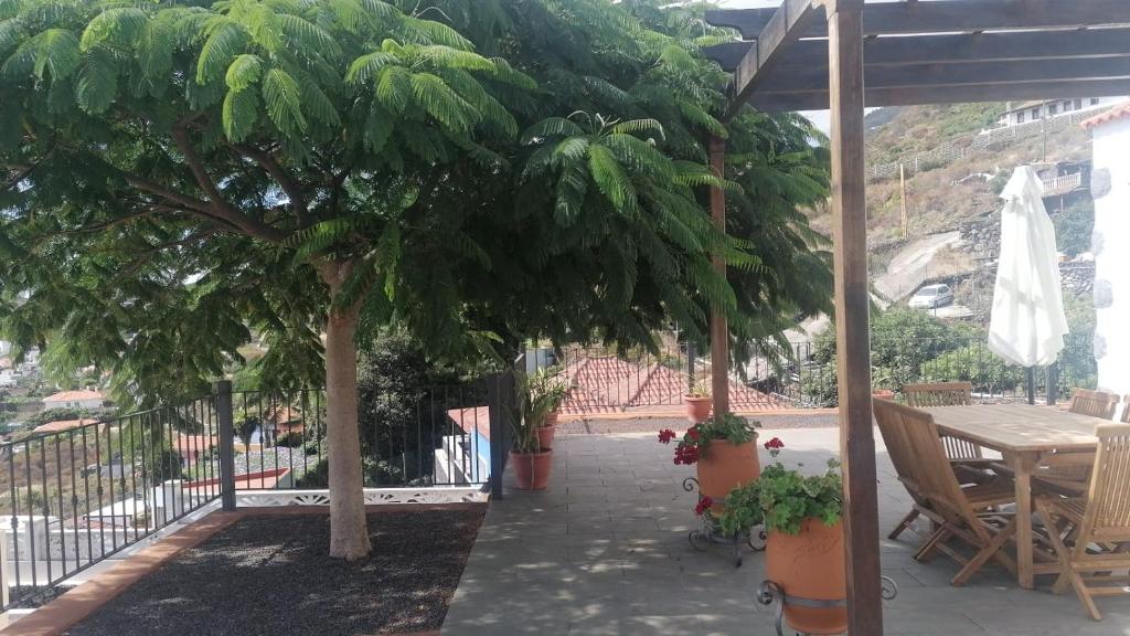 une terrasse avec un arbre, une table et des chaises dans l'établissement Casa Amagante, en Hoyo de Mazo, à Mazo