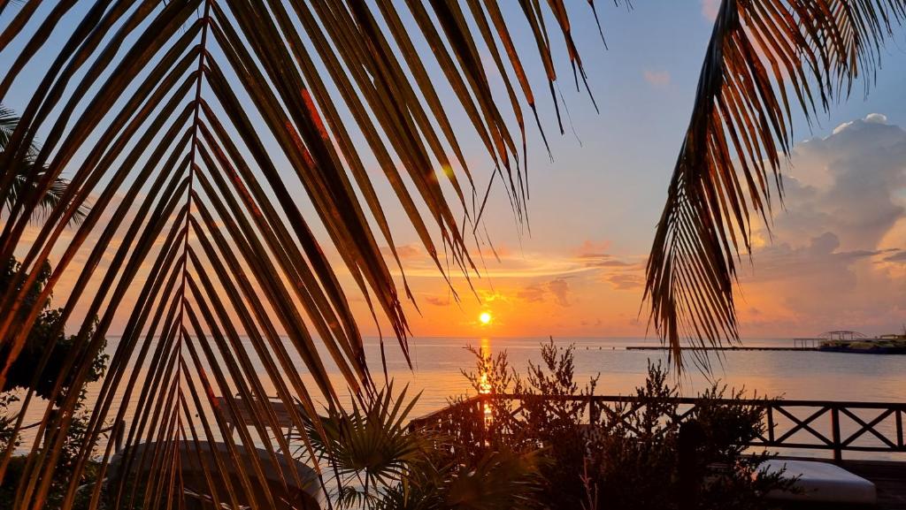 a sunset over the water with a palm tree at Villa on The Beach Seaside Sunrise Haven 7 bedroom in Cancún
