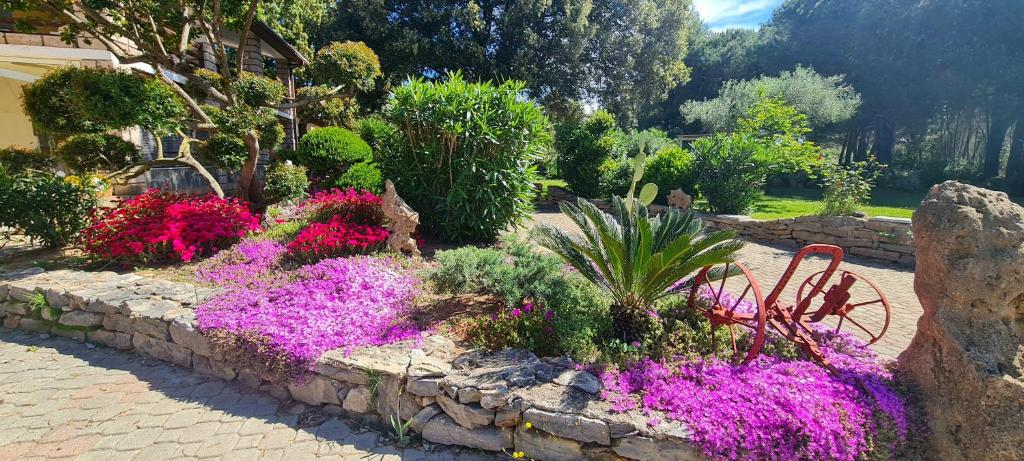 Een tuin van Sa Branda Costa Country Alghero