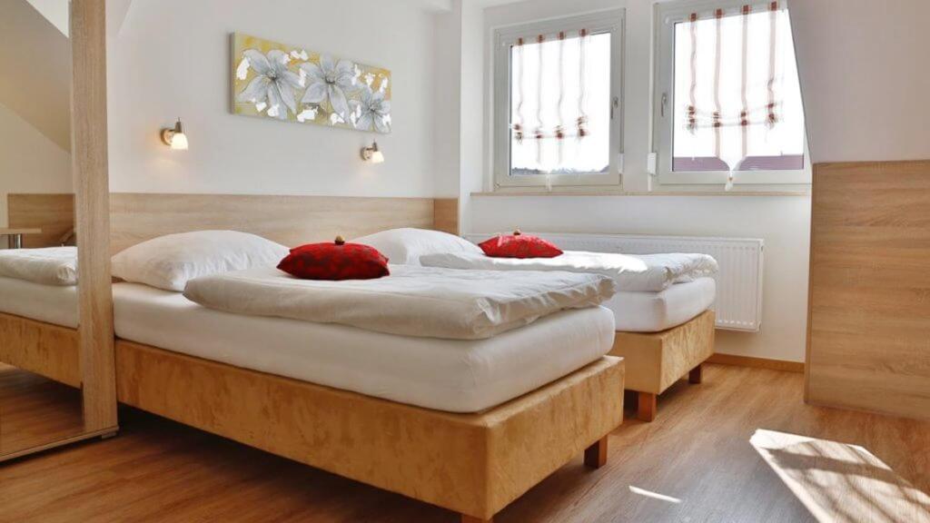 two beds in a room with two red pillows on them at Das Falk Apartmenthaus in Nuremberg