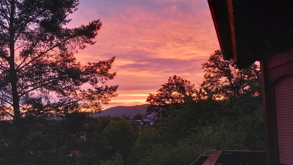a sunset from a house with trees in the foreground at Ferienwohnung in Mörlenbach