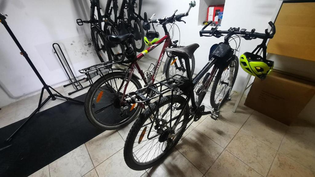 Jízda na kole v ubytování B&B Palatium S.G. nebo okolí