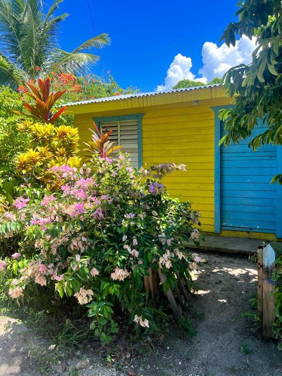 a yellow house with a blue door and some flowers at D, Altagracia casa de campo saona in La Romana